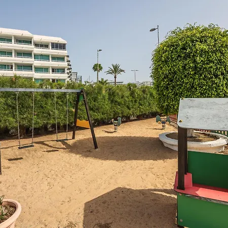 Ficus * Playa del Inglés