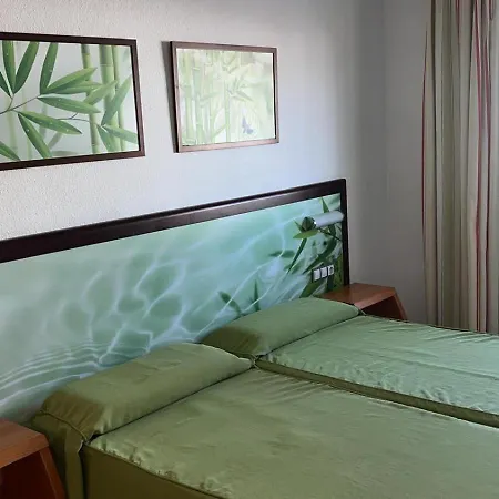 Ficus, Maspalomas Плайя-дель-Инглес